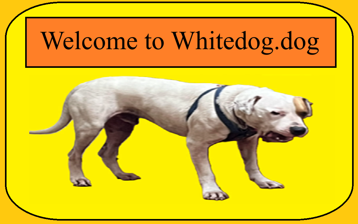 whitedog